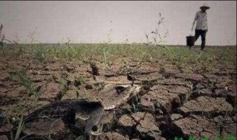 《污染地塊綠色可持續(xù)修復(fù)通則》團體標(biāo)準通過專家審議